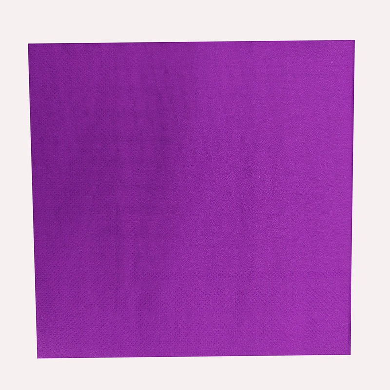 25cm Printed Pure Color Napkin Holiday Party Birthday Party High-End Hotel Restaurant Cross-Border Disposable Napkin 2