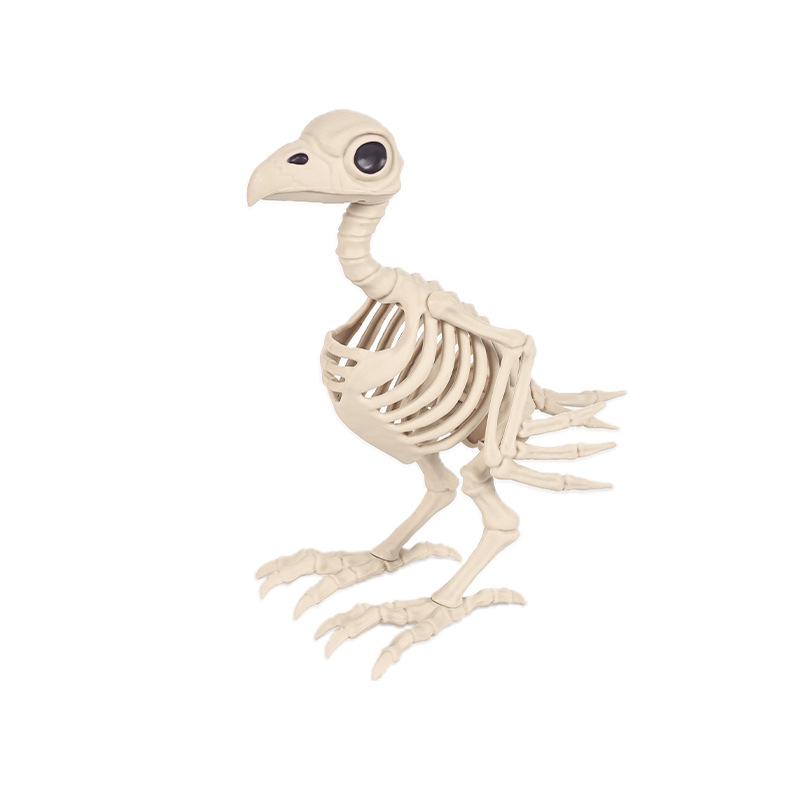 Skeleton Bird Decoration