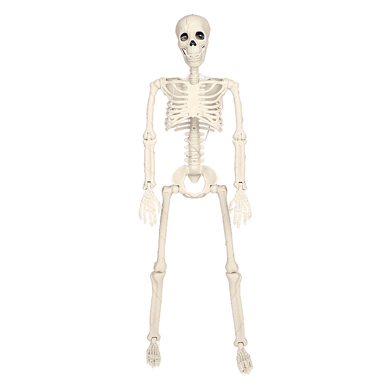 Halloween Luminous Skeleton 90cm Warm Light Can Stand Hanging Simulation Skeleton Party Indoor And Outdoor Scene Layout