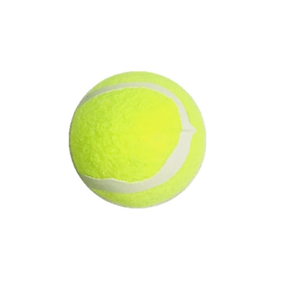 Pelota de goma resistente a mordiscos para perros